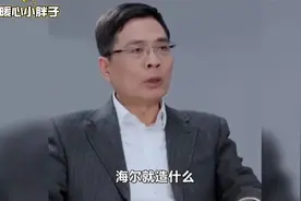 人民需要洗什么，海尔兄弟就造什么 #洗衣机 #海尔兄弟 #海尔老总视频封面