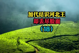 加代结识河北王，却被丢尽脸面，第十八集视频封面