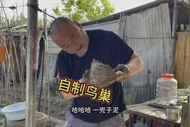 两只燕子飞来飞去没有家，二哥亲自下手做鸟窝，手艺那是相当牛