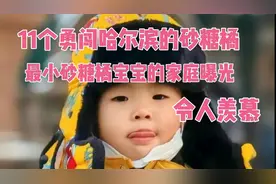 11个勇闯哈尔滨的砂糖橘，最小砂糖橘宝宝的家庭曝光，令人羡慕视频封面