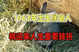属兔之人,1963年出生,2025年62岁,将迎来人生重要转折视频封面