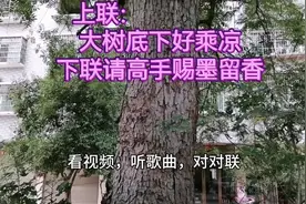 好大一棵树，上联：大树底下好乘凉  下联请高手赐墨留香视频封面