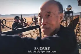 七台河勃利县发现野生老虎事件，后续！门都弯曲了！视频封面