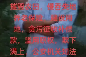 非法侵占永久性基本农田视频封面