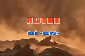 我从哪里来-第五集《走出非洲》视频封面