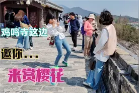 南京鸡鸣寺是赏樱花的好去处，还可以登城墙，拜鸡鸣寺，游玄武湖