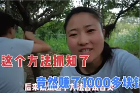 全家出动捉知了，用了这个方法，一晚上100多只，实在是太过瘾了视频封面