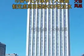 市委书记为谋求个人提拔不惜经济数据造假视频封面