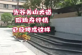 武汉光谷关山大道华润琨瑜府行情已经垮成这样了视频封面