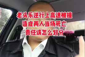 老头乐逆行上高速被撞，造成两人当场死亡，责任该怎么划分？