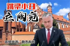跳梁小丑立陶宛视频封面