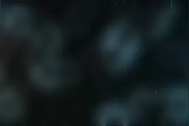 迷你世界版地铁逃生