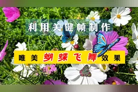 教你学剪映！基础知识·利用关键帧制作唯美蝴蝶飞舞效果。