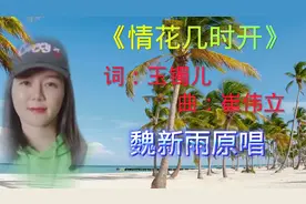 内蒙当红歌手魏新雨演唱当年单歌榜首歌曲《情花几时开》