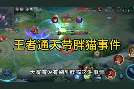 王者通天带胖猫事件视频封面