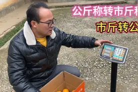 公斤称如何转化成市斤，记住这组解码数字，一操作就会，赶紧收藏视频封面