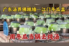 广东汤界佛跳墙—江门冬瓜盅，冬瓜当做沙煲煨汤，一罐98块钱起视频封面