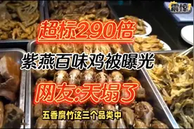 超标290倍！紫燕百味鸡被曝光，网友：天塌了！视频封面