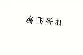 鸡飞蛋打，一场空！视频封面