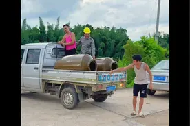成事不足败事有余视频封面