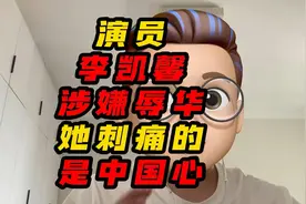 演员李凯馨涉嫌辱华，她刺痛的是中国心 #李凯馨视频封面