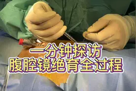 一分钟带你了解宠物腹腔镜绝育全过程#专业的事交给专业的人