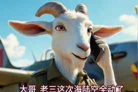 巴巴羊，你家的那些是摆着好看的吗？#巴印冲突 #国际局势 #战争