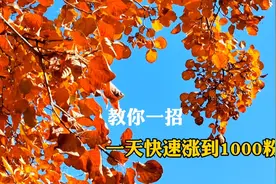 教你一招，一天快速涨到1000粉丝，新手早学。视频封面
