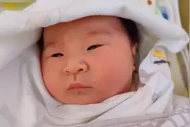 人生拿到手的第一个证，居然不是出生证，而是这个证！视频封面