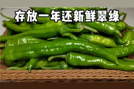 这才是保存辣椒的正确方法，放一年还跟刚摘的一样新鲜翠绿，厉害视频封面