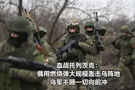 血战托列茨克：俄用燃烧弹大规模轰击乌阵地，乌军不顾一切向前冲视频封面