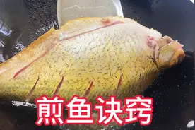 教你煎鱼诀窍，不粘锅不破皮，红烧鱼太香了！视频封面