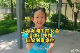 上海海滩失踪女童遗体已找到 排除刑事案件视频封面