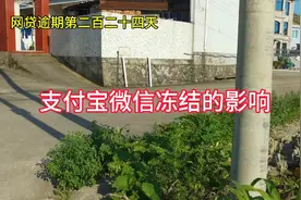 网贷逾期第二百二十四天支付宝微信冻结的影响视频封面