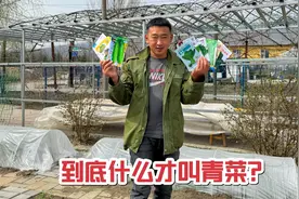 到底什么才算是青菜？南北方认知里的青菜竟然差距这么大视频封面