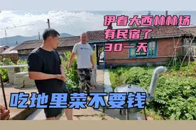 伊春大西林林场有民宿了，宿费超低，避暑很棒，吃青菜还不要钱！