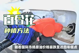 油价将迎三年来最大降隔，4月17日别错过！视频封面