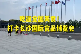 吃遍全国美食！打卡长沙国际食品博览会视频封面