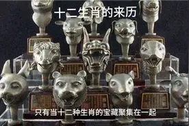 十二生肖的来历视频封面
