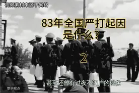 上个世纪八十年代我国为何进行严打起因是什么？