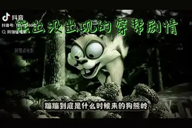 熊出没出现的穿帮剧情，蹦蹦到底是什么时候来的狗熊岭视频封面