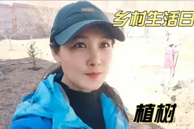广州人定居青海贵德，干农活，亲自动手植树，有模有样。视频封面