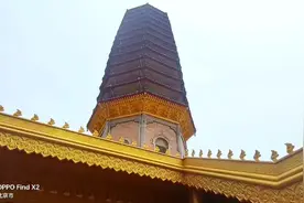 瞻仰灵光寺佛牙舍利，目睹珍贵之物，感受佛教文化的神秘魅力。视频封面