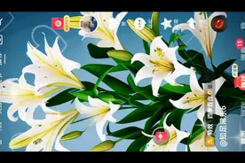 我录屏给大家看看如何操作抖音任务视频封面