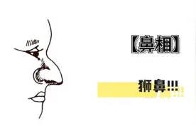 【鼻相】-狮子鼻