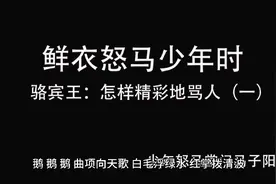 鲜衣怒马少年时-骆宾王：怎样精彩地骂人（一）视频封面