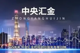 中央汇金的职能