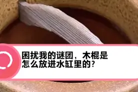 困扰我多年的谜团，这根木棍是怎么放进水缸里的？视频封面