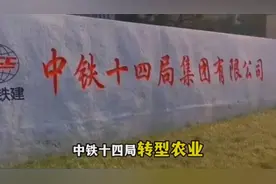 中铁十四局转型农业的真相，以及背后的意义，竟然是这样的。视频封面