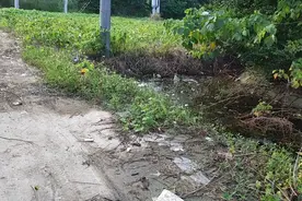 高速公路桥底下，有水就有黄鳝，而且黄鳝特别多视频封面